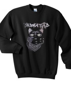 mystic cat sweatshirt