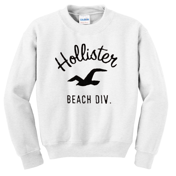 hollister lion hoodie