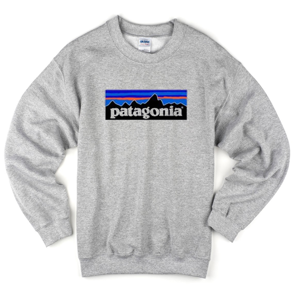 patagonia sweat shirt